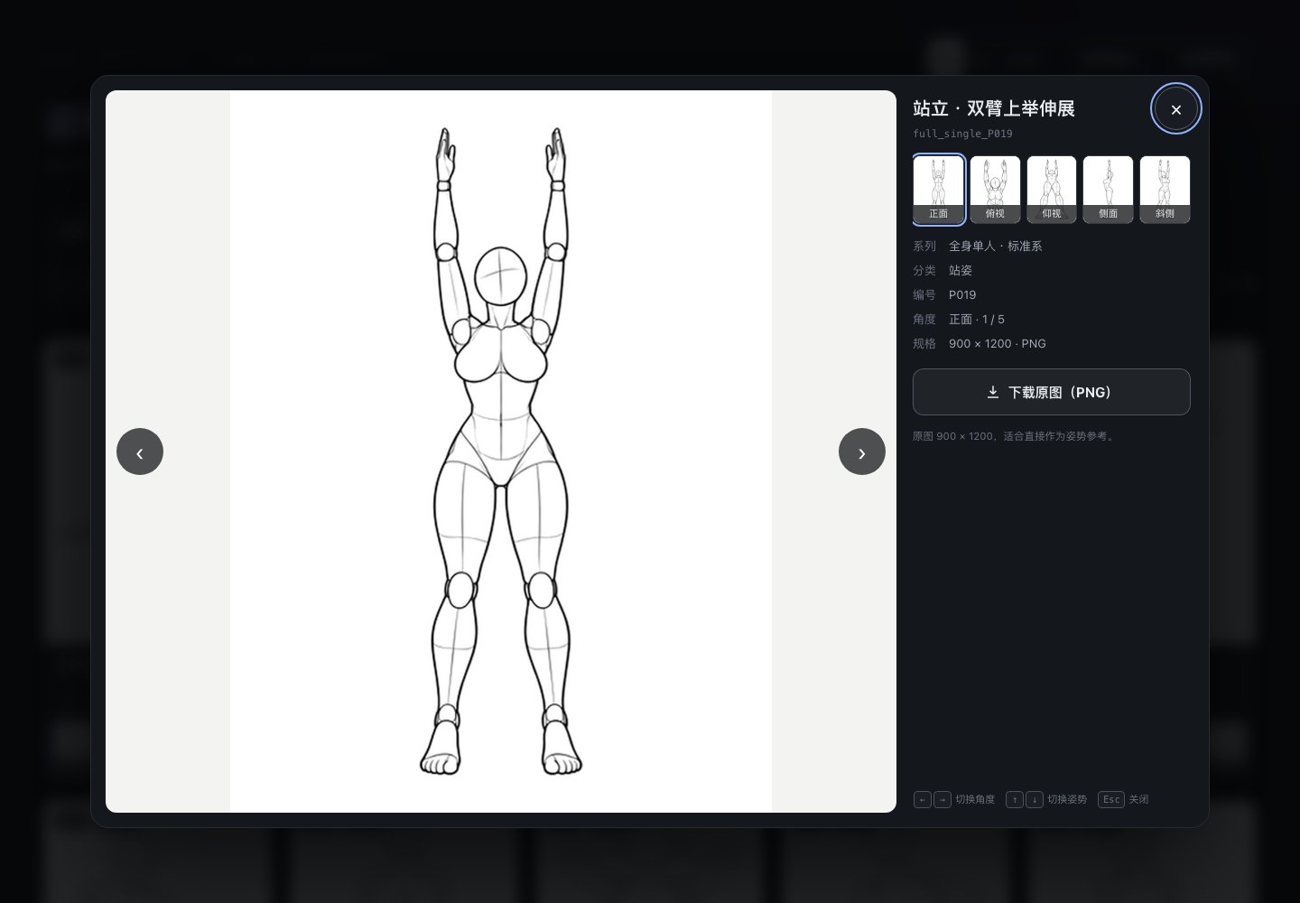 https://github.com/HRuiCcc/RuiC-PoseAtlas/blob/HEAD/大图浏览与多角度切换