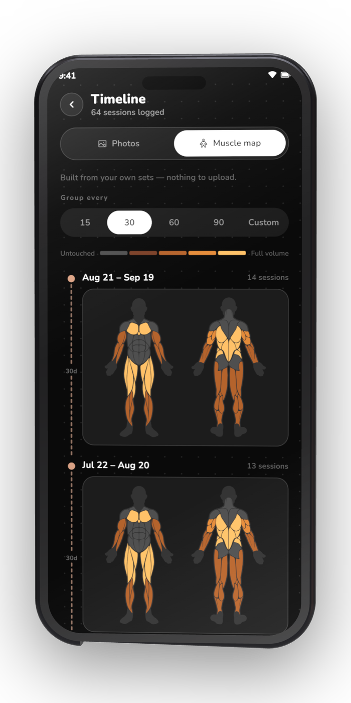 https://github.com/InlitX/GymMane/blob/HEAD/Muscle timeline