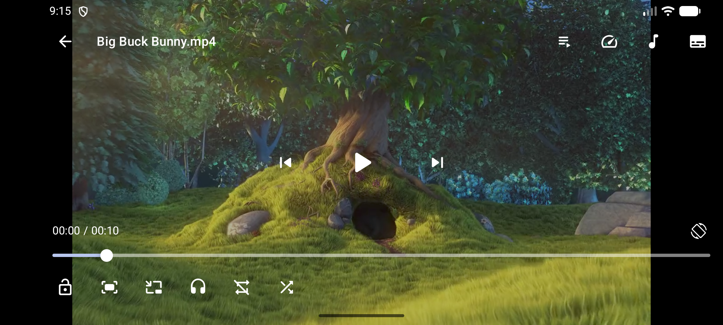 https://github.com/anilbeesetti/nextplayer/blob/HEAD/Phone player controls