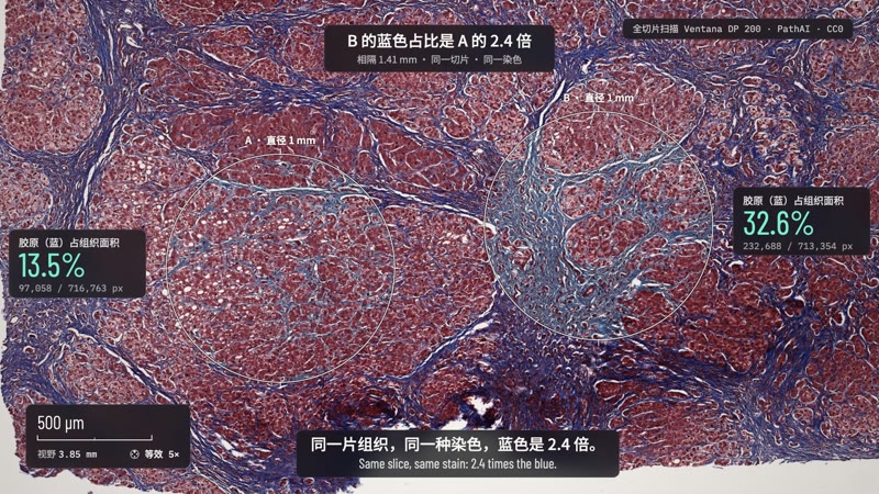 https://github.com/lemomo-ai/lemo-opuscar/blob/HEAD/Microscope Story