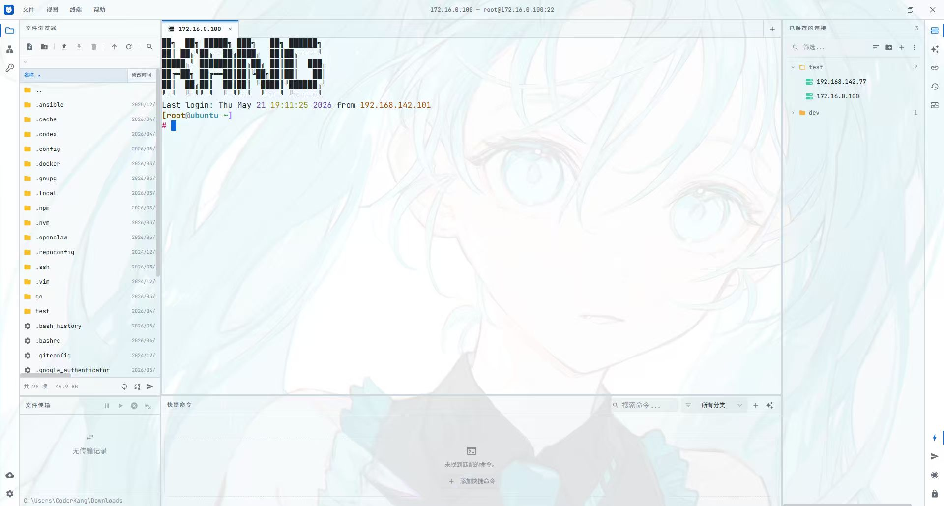 https://github.com/nyakang/nyaterm/blob/HEAD/NyaTerm background image customization